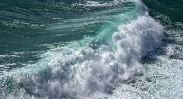 中赚网与中创网对比：创业网络与网赚项目的实战分析