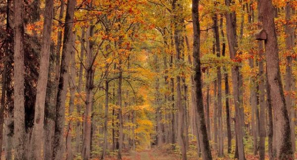 网络创业论坛新趋势：互联网创业论坛与月云网赚论坛的财富盛宴