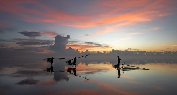 网赚项目下载新体验：轻松创业项目在创业论坛网的深度探讨