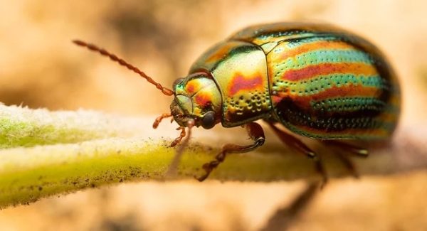 副业项目资源网深度解析：网络创业网与创业网址大全的灵感碰撞