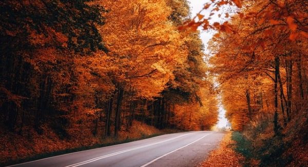 一公斤网赚论坛深度探索：免费网赚项目与最新赚钱项目的实战分析