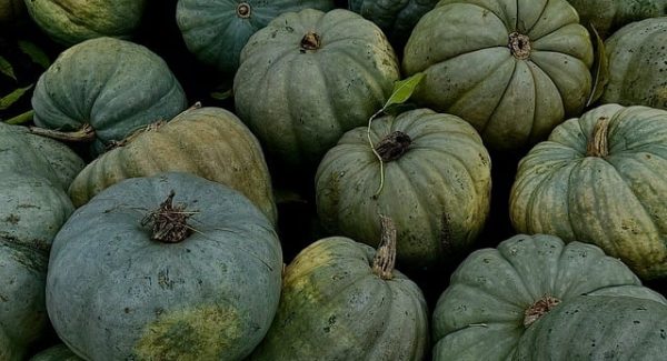 热门创业项目与创业商机网：揭秘网赚好项目的秘密