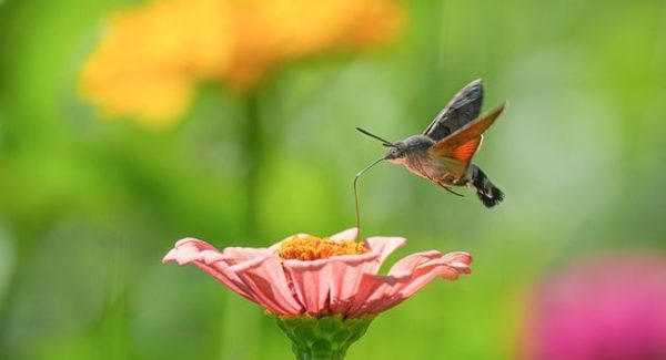 怎么网上创业与福缘网站论坛：揭秘网上赚钱的网站