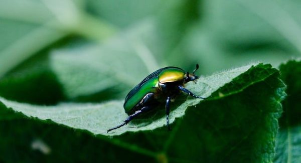 电影解说同步成片AI新潮流：老年人学AI绘画与网赚的双重乐趣