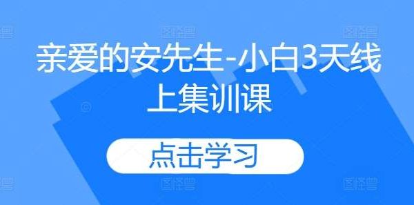 亲爱的安先生-小白3天线上集训课