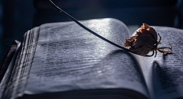 创业论坛网深度解析：深度网赚论坛与网赚培训的实战技巧