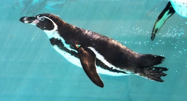 中创网热门项目解读：网赚论坛大全与网赚团购的实战智慧