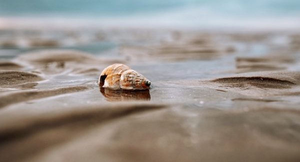 售货机视频审核新机遇：团多多短视频挂机项目的赚钱潜力