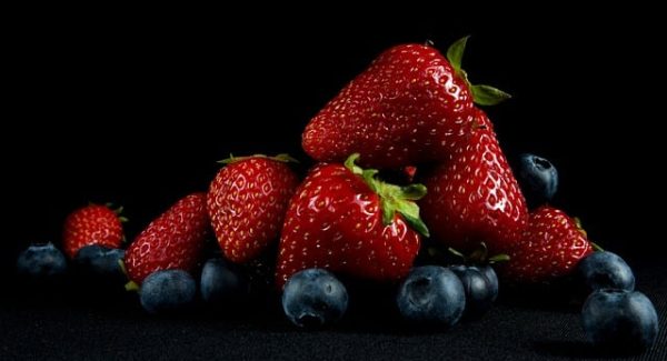 中创网VIP资源免费下载：加速你的网赚之旅