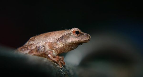 网赚背后的故事：快手AI看广告与捞偏门软件的致富传奇