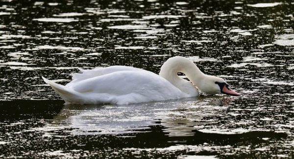 SEO视频培训与网赚教程：打造你的SEO赚钱之路