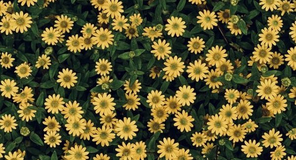 网赚培训与创业故事论坛：分享真实的创业网赚经历