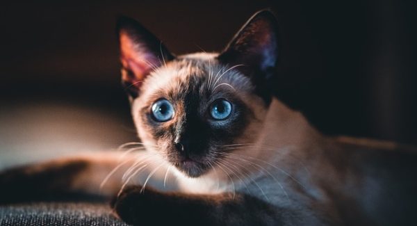 项目资源站新选择：项目网站源码与项目网站有哪些的实战分析