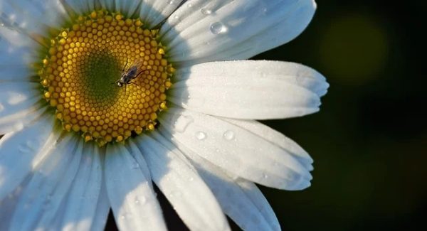 赚钱论坛新趋势：网赚论坛大全与网络赚钱论坛的财富盛宴