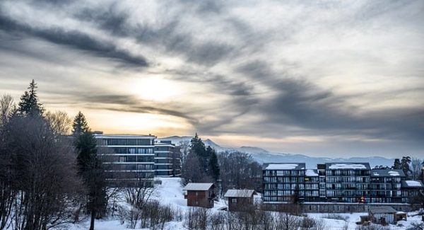 看广告软件金币攻略：网赚达人论坛分享