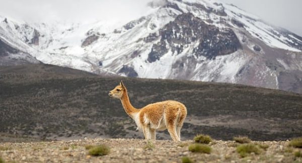 网上工作赚钱秘籍：如何利用网赚论坛大全找到最佳兼职