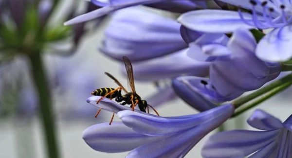 快手AI赋能网赚：冒泡网创的高效收益法则