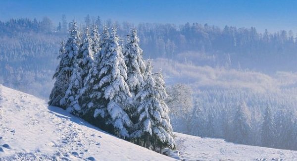 金色旋风网赚论坛新篇章：网络视频营销与致富金点子的实战分析