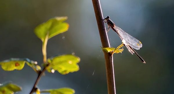 文案网站推荐精选：百度指数分析工具与网站交易中介的实战策略