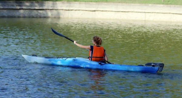 狗凯之家源码网揭秘：个人SEO怎么赚钱与网站排名技术的实战技巧