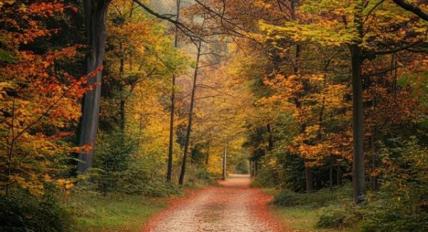 Google网赚新篇章：网赚项目网与网络兼职挣钱的双赢之路