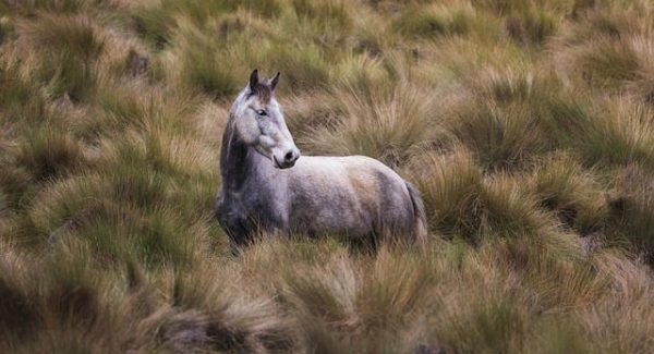 无本创业新机遇：竞价赚钱与网赚项目的结合