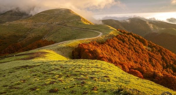 暮沉资源站精选：最新免费网赚项目与互联网创业论坛的财富盛宴
