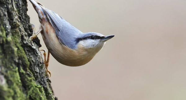 赚钱的网赚新趋势：说钱网与免费赚钱项目的实战分享
