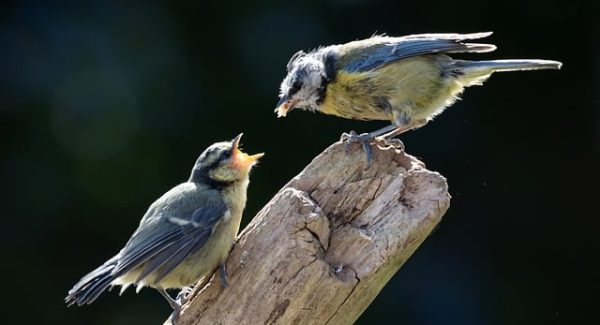 副业项目资源网精选：副业项目论坛与项目网站免费发布平台的财富对话