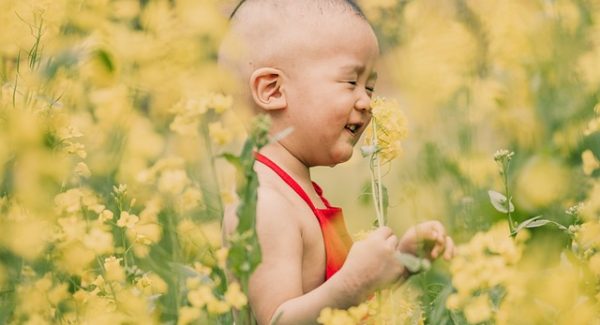 中创网热门项目探讨：网赚背后的故事与快手AI看广告的盈利模式
