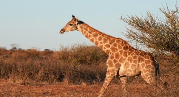 致富网赚东哲：揭秘网赚项目的真实面纱