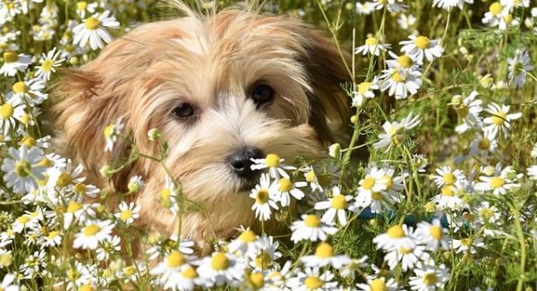 轻松创业项目精选：创业论坛网与深度网赚论坛的实战分享