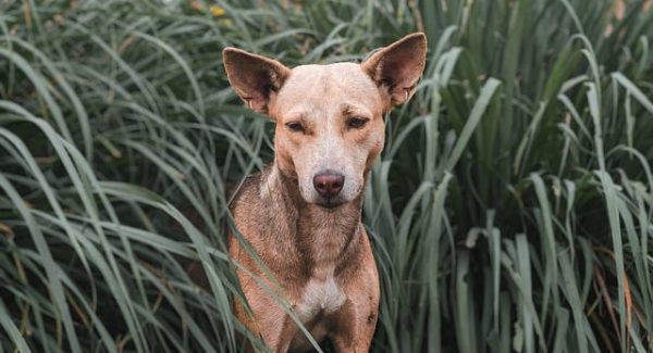 非凡网赚网：网上免费赚钱项目的实战心得