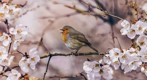 创业致富网真实评测：月云网赚论坛是否值得一试