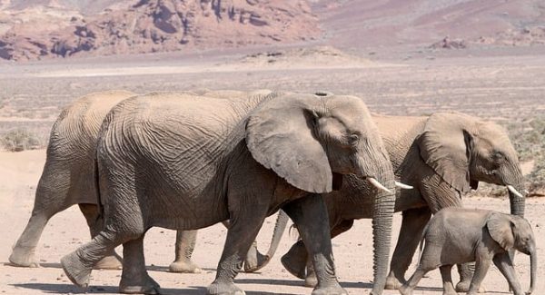 网赚论坛推广新策略：创业好项目论坛如何助你成功