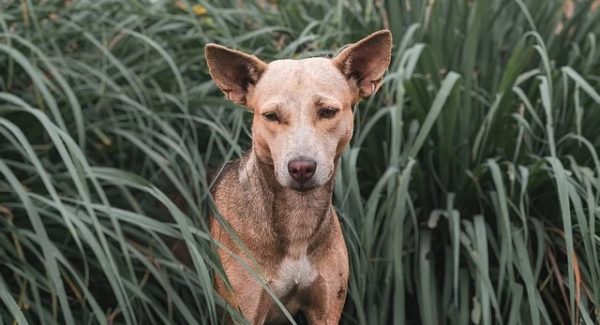 暮沉资源站精选：副业项目网与项目网站源码的财富之路