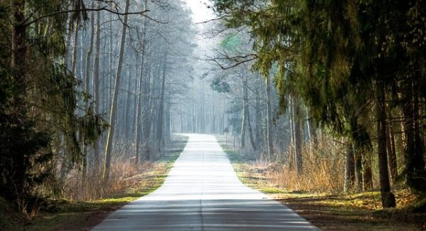 中创网热门项目揭秘：网赚团购与豪情网赚项目的实战技巧