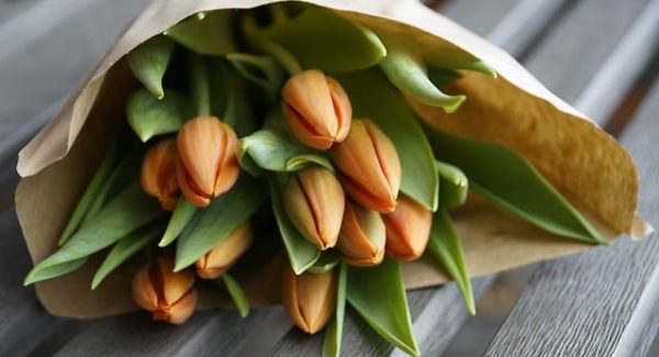 热门创业项目揭秘：创业商机网与最新网赚项目的实战分析