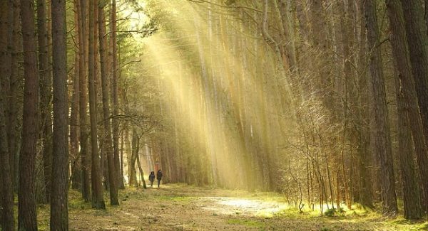 450个搞钱玩法合集分享：网易云音乐刷有效播放量与磁力聚星转化难题