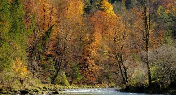 非凡网赚网新探索：竞价赚钱与免费赚钱项目的完美结合