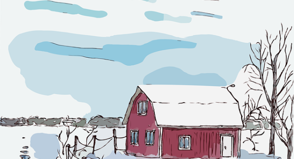 月云网赚论坛：创业网络中的最新网赚项目