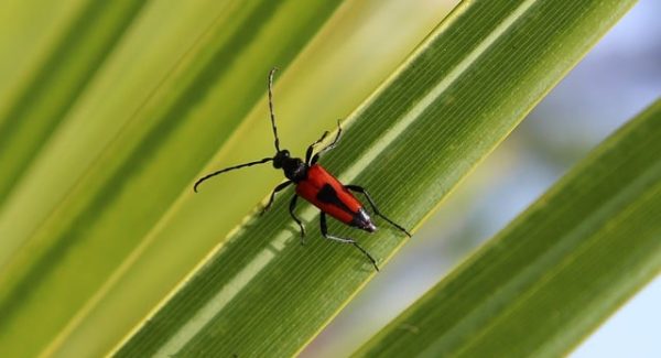 赚钱项目网站实战分析：如何在项目资源站找到最佳项目