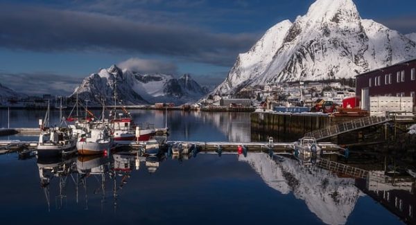 创业网址大全指南：网络创业网与创业商机网的实战策略