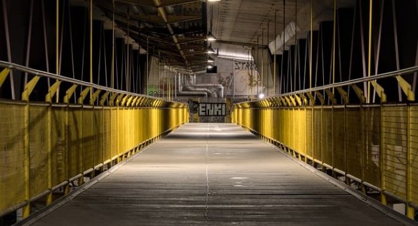 致富网东哲深度解析：如何利用中赚网论坛实现财务自由