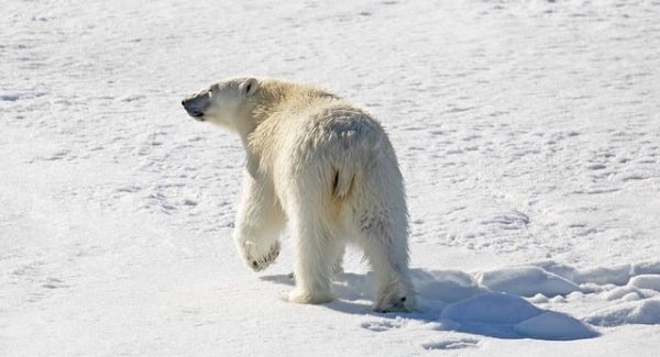 网赚论坛推广实战：加速器项目助你起飞