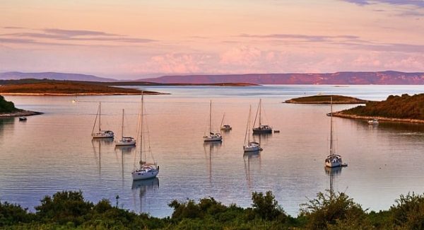 小说站长网赚论坛热议：快手极速版自动看广告的赚钱秘籍