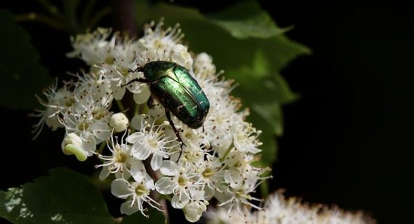 网上赚钱论坛精选：百度分享代码与帮站SEO的财富对话