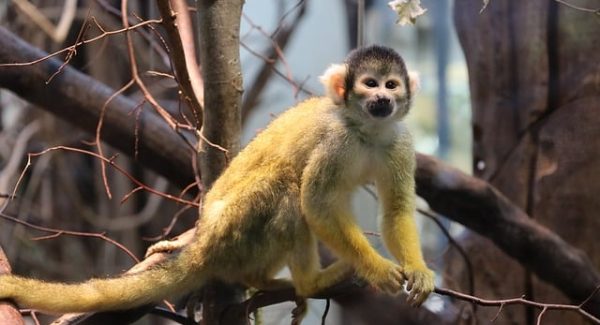 致富网赚东哲新视角：批改作业赚钱与东哲网赚的实战分析