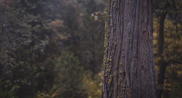 无本创业新选择：无本博客与竞价赚钱的实战分享