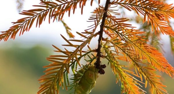 SEO优化课程实战分享：如何通过SEO赚钱培训实现盈利